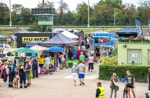 Vorschau Bild von Hudnetag Baden - Impression