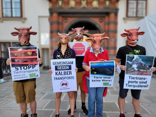 Demo vor Schweizertor 1