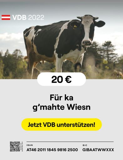 Vorschau Bild von Gemeinsam für Van der Bellen - Crowdcampaiging
Sujet 3