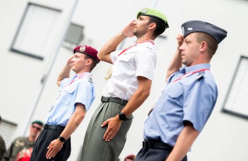 Vorschau Bild von Fallschirmsprung- Weltmeisterschaft. So sehen Sieger aus.