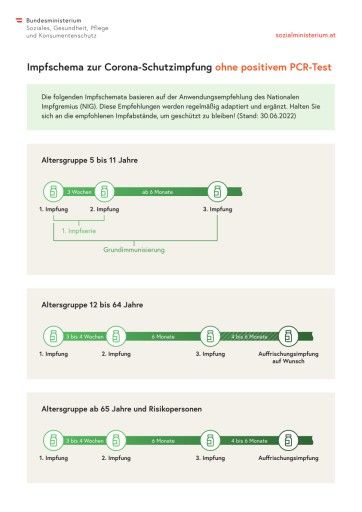 Vorschau Bild von Infografik zum Impfschema