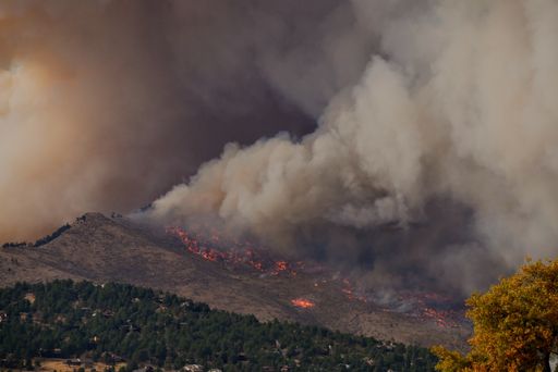 Waldbrand in Calwood