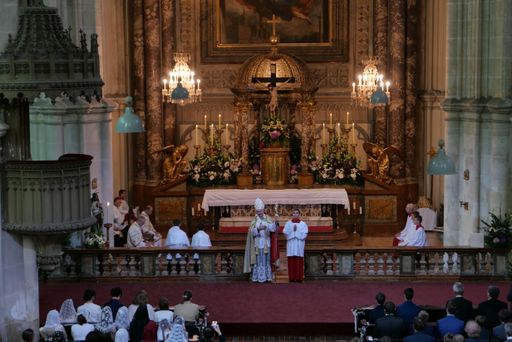  Firmung mit Bischof Fellay in der Minoritenkirche