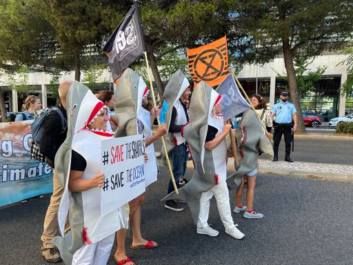  Haie sind weltweit vom Aussterben bedroht.
Sharkproject und die VertreterInnen vieler anderer NGO's machten bei
der UN Ocean Conference 2022 in Lissabon auch vor den Konferenzorten
auf die dringende Notwendigkeit des Hai-Schutzes aufmerksam.