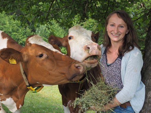 Schärdinger Milchbäuerinnen und Milchbauern setzen
auf Methanreduktion