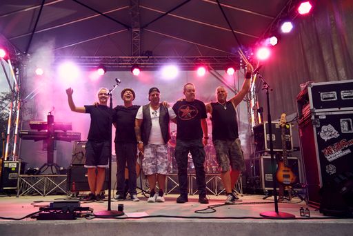 Vorschau Bild von "Wiener Wahnsinn" live on stage