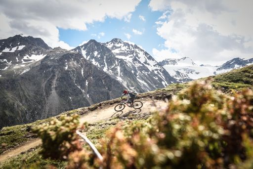 Alpenverein fordert mehr legale
Mountainbikestrecken in Österreich