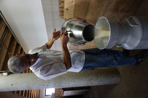 Vorschau Bild von FAIRTRADE Bauern lernen über die österreichische
Milchwirtschaft