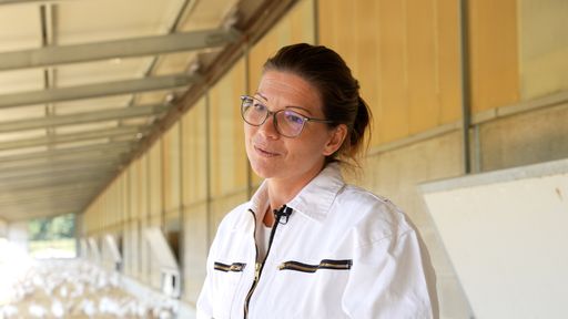 Amtstierärztin Dr. Eva Maria Holzheu:
„Wachstumsförderer sind in der gesamten EU verboten. Aufgrund der
hohen Tierwohlstandards brauchen wir sie aber auch nicht.“