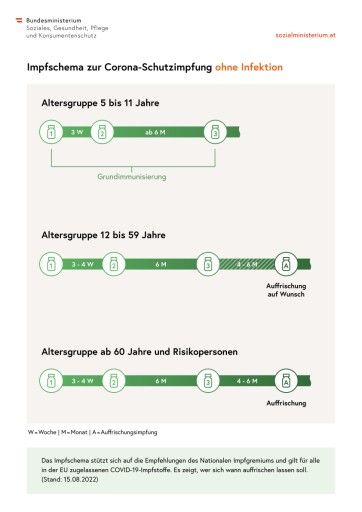 Vorschau Bild von Impfschema-Impfgrafik