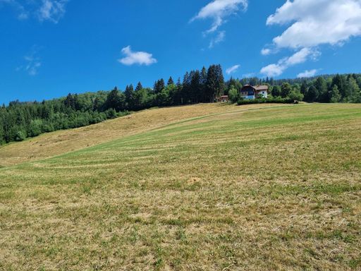 Dürreschäden im Grünland, Kärnten
