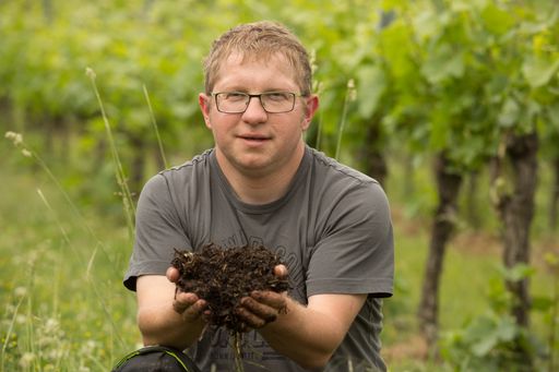  Eine handvoll "Terroir" vom Schneiderberg