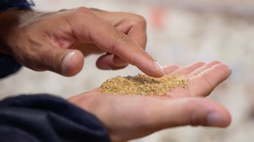 Vorschau Bild von Je nach Lebensalter speziell auf die Bedürfnisse der Puten
abgestimmtes Futter. Natürlich gentechnikfrei, mit Soja aus Europa.
Teuer, aber die gute Pute ist es wert.