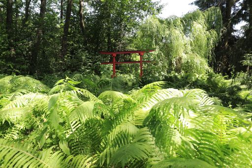  Die psychische Widerstandskraft stärken im
"Zauberwald" von "Naturresilienz & Co."
