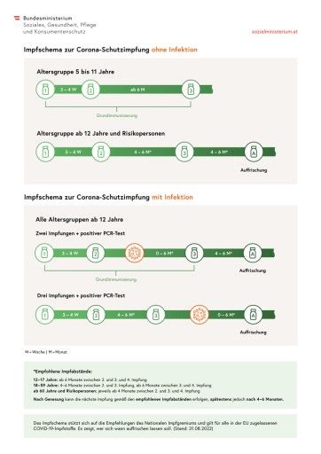 Vorschau Bild von Impfschema-Infografik