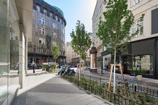 Vorschau Bild von FCP hat den Petersplatz in Wien zum „Öko-Grätzel“
neugestaltet, verkehrsberuhigt und mit Bäumen und Pflanzen klimafit
gemacht.