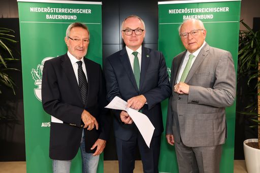  Verfassungsexperte Heinz Mayer (links) und
Topmanager Claus Raidl (rechts) unterstützen NÖ Bauernbundobmann
LH-Stv. Stephan Pernkopf im Kampf gegen den Borealis-Deal.
