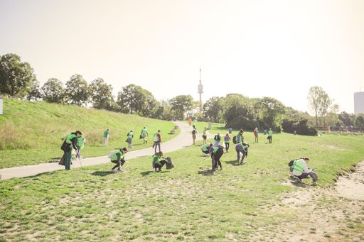Vorschau Bild von World Cleanup Day an der Neuen Donau in Wien