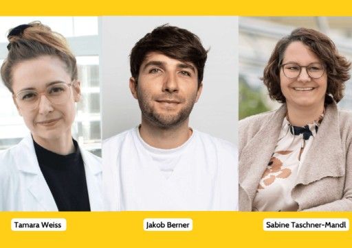 Vorschau Bild von Foto der beiden Erstautor:innen (v.l.n.r.) Dr. Tamara Weiss, Jakob Berner, MSc und der Letzt/Corresponding-Autorin Dr. Sabine Taschner-Mandl, Bildrechte: St. Anna Kinderkrebsforschung.