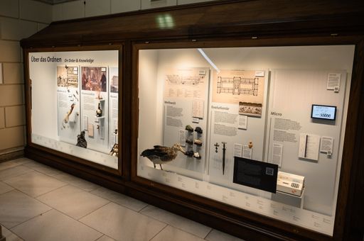  Vitrine 1, Über das Ordnen