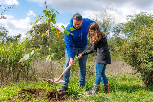 Vorschau Bild von Kovanda-Mitarbeiter mit seiner Tochter beim
Baumeinpflanzen im Rahmen des Kovanda Events "Pflanze deinen Baum"