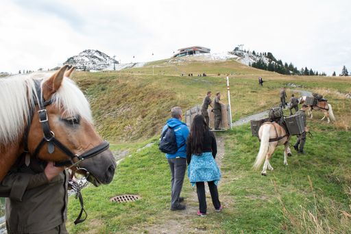 Vorschau Bild von café+co Wirtschaftswanderung 2022