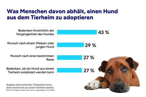  Mars Umfrage zum Welttiertag: Falsche Vorstellungen
verhindern mehr erfolgreiche Vermittlungen von Hunden aus Tierheimen