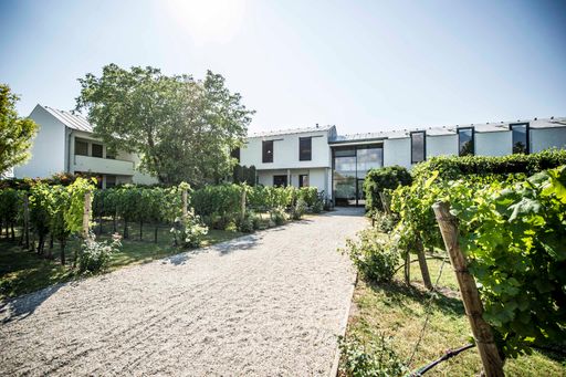 Vorschau Bild von Weinlaubenhof Kracher in Illmitz