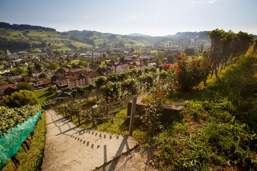 Vorschau Bild von Rebkulturweg Thal