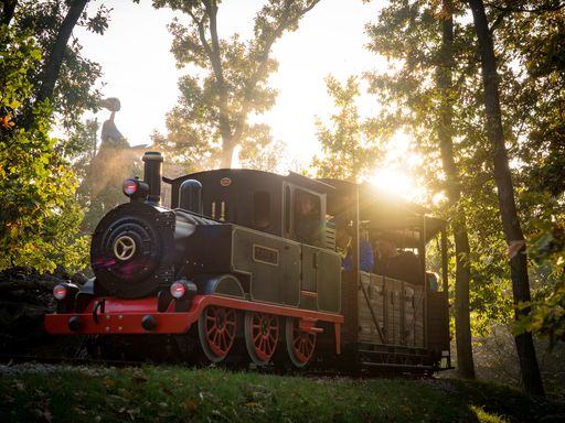 Vorschau Bild von Waldexpress - Fahrattraktion im Familypark zu Halloween