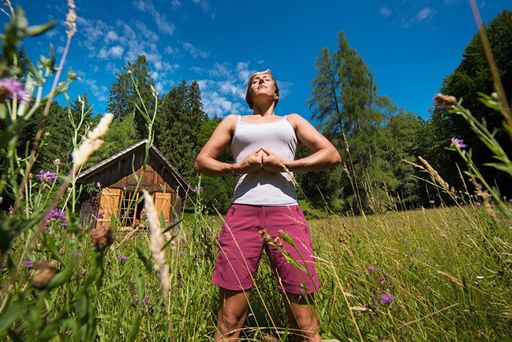 Vorschau Bild von Wald.Wyda bei WALDNESS im Almtal. Wyda ist das Yoga
der Kelten und ist Teil von WALDNESS im Almtal.