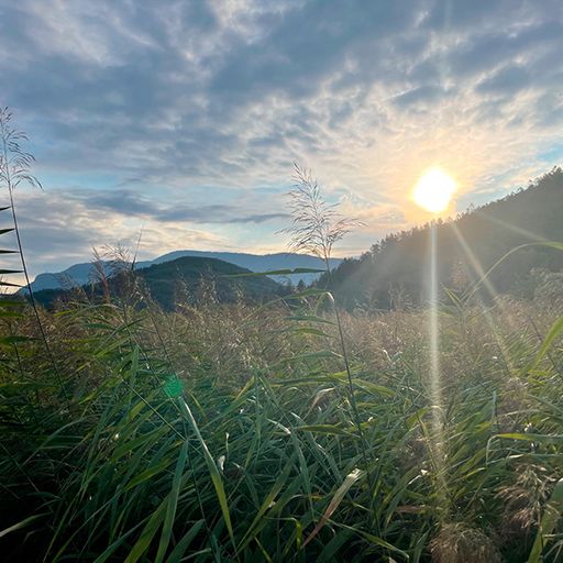Den Überschuss-Strom der Sonnenenergie verschenken
- das KWG Sonnengeschenk macht es möglich