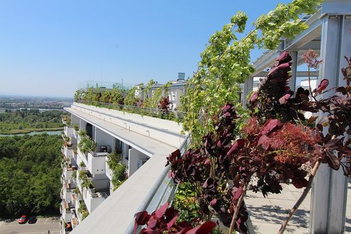 Vorschau Bild von Dachbegrünung des "Wien-Süd"-Bauteils in der "Biotope City
Wienerberg", 1100 Wien