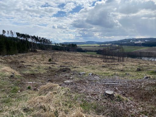 Im Waldviertel wütete der Borkenkäfer