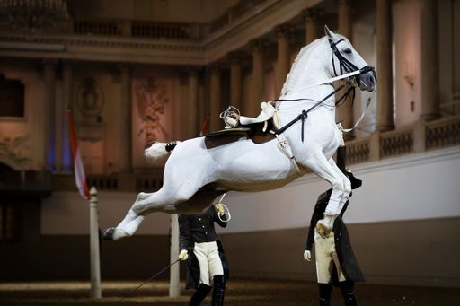 Vorschau Bild von Die Lektion "Kapriole an der Hand"