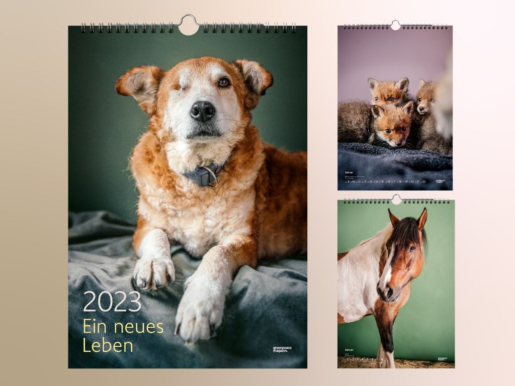 Greenpeace Kalender 2023