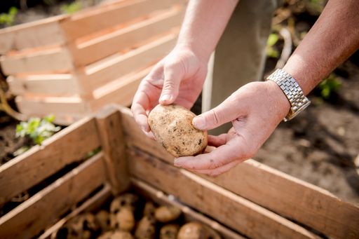 Vorschau Bild von McDonald’s Österreich setzt seit vielen Jahren bei
Rindfleisch, Kartoffeln, Milchprodukten und Freilandeiern auf 100 %
Qualität aus Österreich und ist so der größte Gastronomiepartner der
heimischen Landwirtschaft.