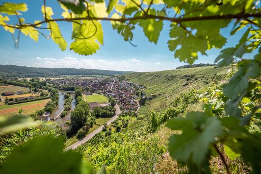  Terrassierte Steillagen der Weinlandschaft