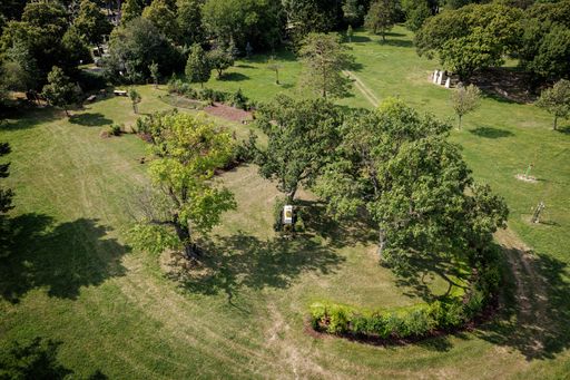 Vorschau Bild von Wiener Naturgrab