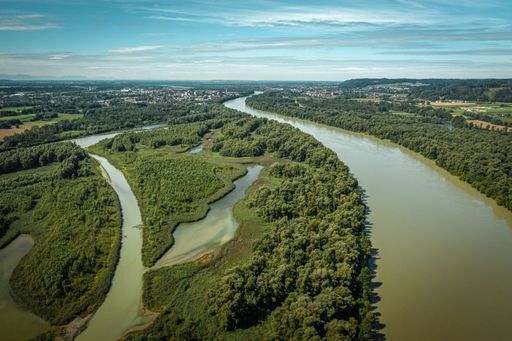 Vorschau Bild von Flusslandschaften prägen das
bayerisch-oberösterreichische Entdeckerviertel rund um Braunau,
Burghausen und Mattighofen. Hier das Europareservat Unterer Inn