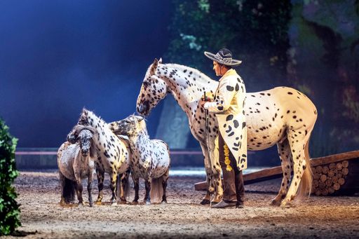 Vorschau Bild von Pony-Freiheit von Bartolo Messina / Weiterer Text
über ots und www.presseportal.de/nr/55914 / Die Verwendung dieses
Bildes für redaktionelle Zwecke ist unter Beachtung aller
mitgeteilten Nutzungsbedingungen zulässig und dann auch honorarfrei.
Veröffentlichung ausschließlich mit Bildrechte-Hinweis.