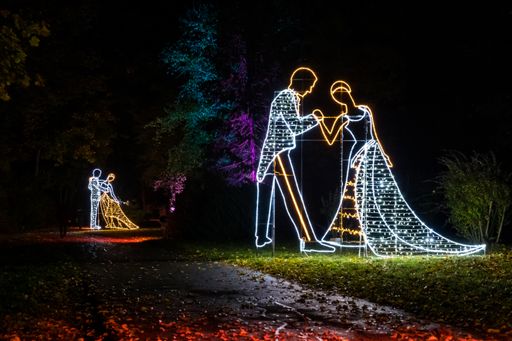 Vorschau Bild von Der magische Lichtergarten „Illumina Schloss Grafenegg“
