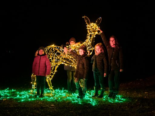 Vorschau Bild von Der magische Lichtergarten „Illumina Schloss Grafenegg“