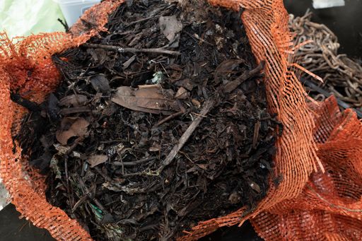 Entnommene Kompostprobe / Weiterer Text über ots und
www.presseportal.de/nr/147824 / Die Verwendung dieses Bildes für
redaktionelle Zwecke ist unter Beachtung aller mitgeteilten
Nutzungsbedingungen zulässig und dann auch honorarfrei.
Veröffentlichung ausschließlich mit Bildrechte-Hinweis.