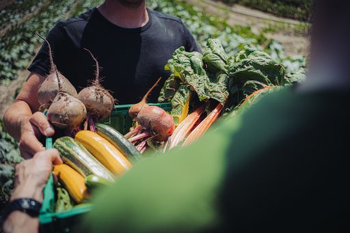 Nein zum Black Friday: gurkerl.at feiert „Green
Friday“ und setzt Zeichen für bewussten Konsum und Nachhaltigkeit