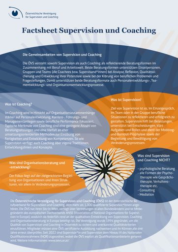 Vorschau Bild von Factsheet Supervision und Coaching