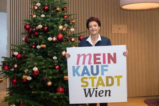 Gerade rechtzeitig zum bevorstehenden Weihnachtsgeschäft lanciert
die Wirtschaftskammer Wien eine neue Dachmarke, um Wien als
Einkaufsstadt strategisch neu zu positionieren.