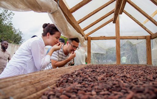 Vorschau Bild von Kakao Qualitätskontrolle