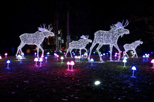  LUMAGICA Lichterpark ab 8. Dezember erstmals in
Wien