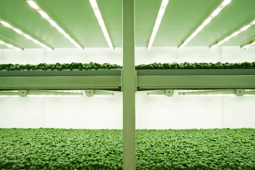 Vertical Farm / Die Verwendung dieses Bildes für redaktionelle
Zwecke ist unter Beachtung aller mitgeteilten Nutzungsbedingungen
zulässig und dann auch honorarfrei. Veröffentlichung ausschließlich
mit Bildrechte-Hinweis.